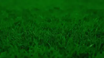 Galatasaray ve Fenerbahçe Derbisine Hazırlık: Muhtemel 11'ler ve Kritik Detaylar