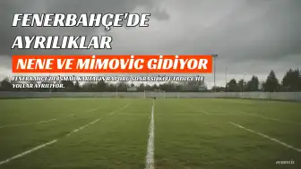 Fenerbahçe'de Çifte Ayrılık: Nene ve Mimovic Kadrodan Ayrılıyor