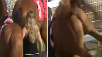 Yarış Atı Tekmesiyle Yere Savrulan Ahır Çalışanının Sağlık Durumu İyi