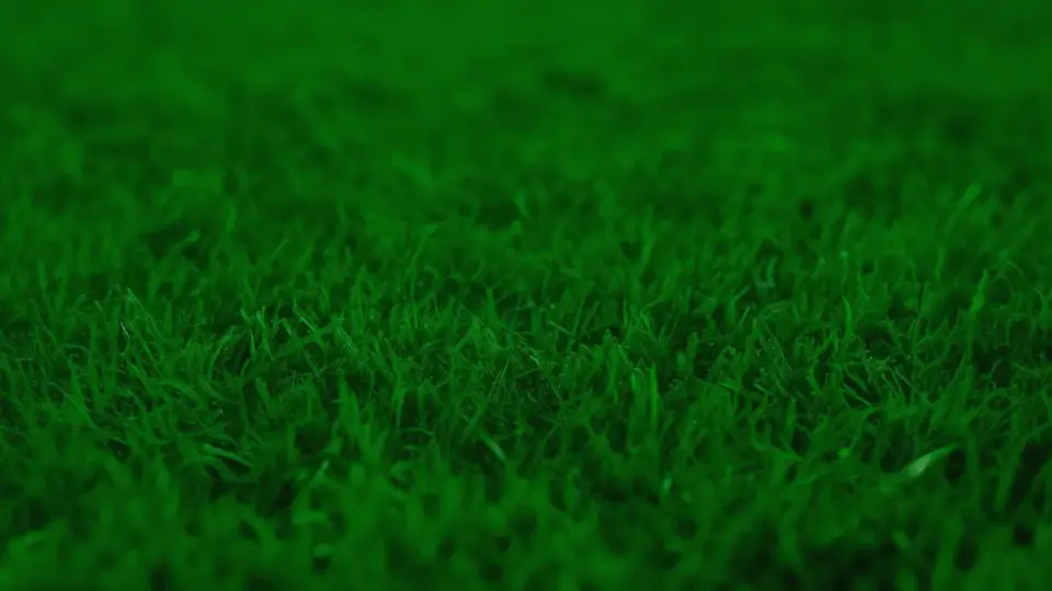 Galatasaray ve Fenerbahçe Derbisine Hazırlık: Muhtemel 11'ler ve Kritik Detaylar