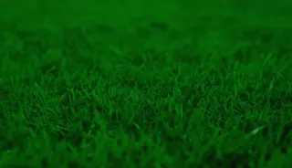 Galatasaray ve Fenerbahçe Derbisine Hazırlık: Muhtemel 11'ler ve Kritik Detaylar